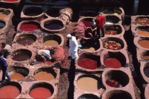 Fes, Tanneries (6)
