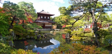 Autumn & the Art of the Japanese Garden 2024