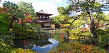 Autumn & the Art of the Japanese Garden 2024