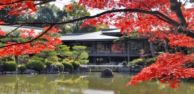 Autumn & the Art of the Japanese Garden 2025