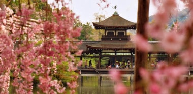 Cherry Blossom and the Art of the Japanese Garden 2025