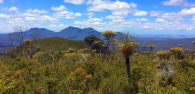Western Australia: Wildflowers, Wineries and Private Gardens of the South West 2027