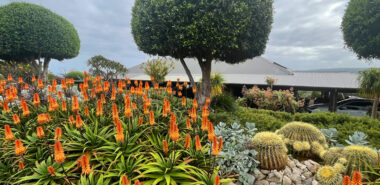 Western Australia: Wildflowers, Wineries and Private Gardens of the South West 2027