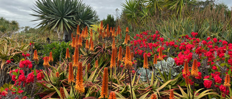 Western Australia Yallingup