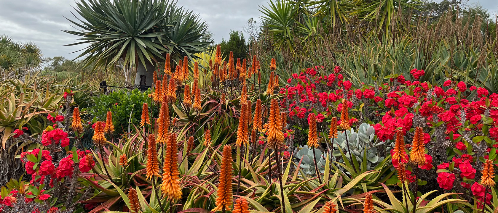 Western Australia Yallingup