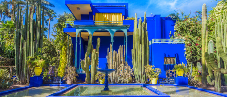 Le Jardin Marjorelle, Marrakesh, Morocco.