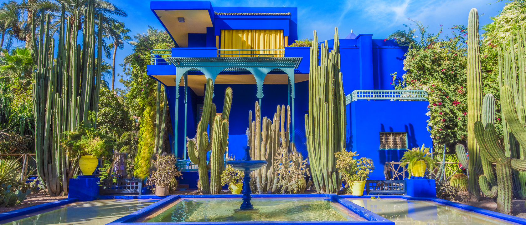 Le Jardin Marjorelle, Marrakesh, Morocco.