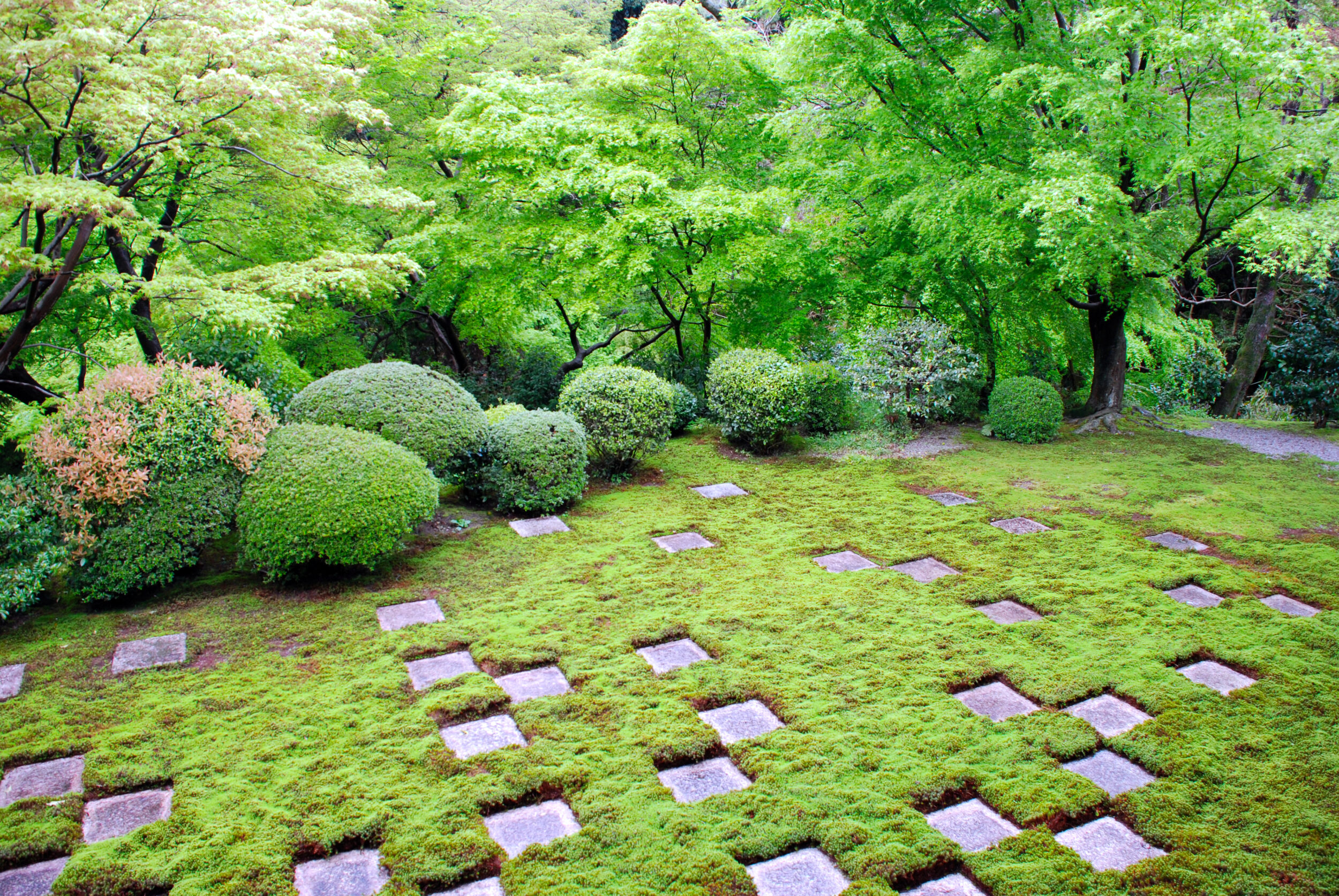 Tōfuku-ji Hojo Gardens – A Masterpiece of Zen Modernism | ASA