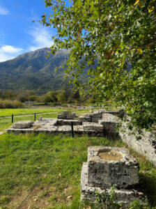 Looking towards Mt. Tomaros: an oak tree has been plantedin the courtyard of the Sacred House where Zeus’ oracular tree once stood.