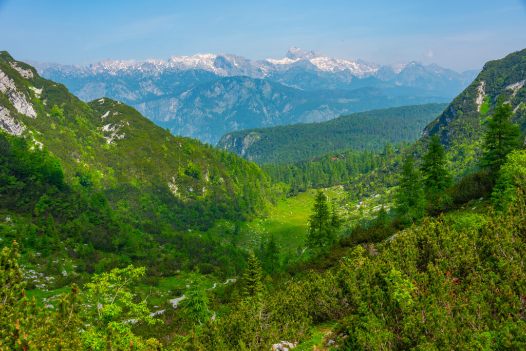 Triglav National Park Mount Vogel