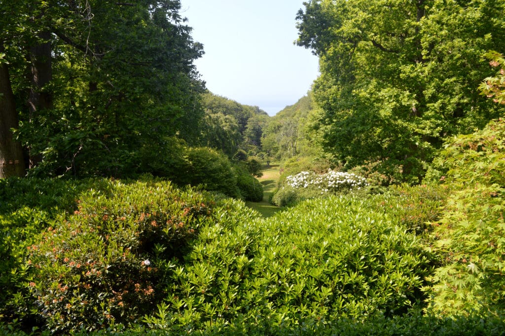 Bois de Morville