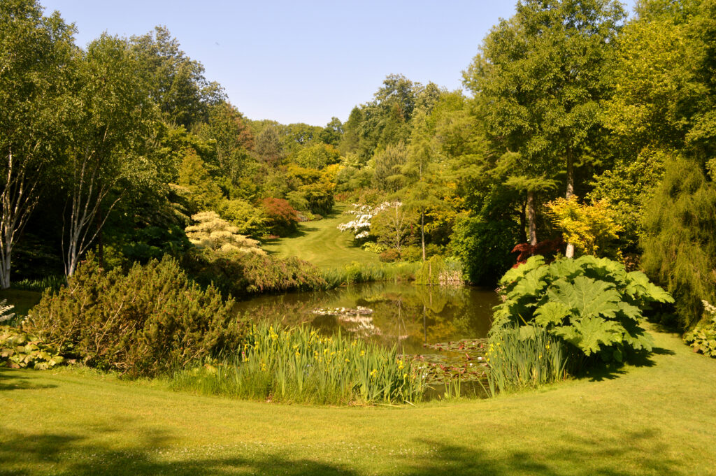 Etang de Launay