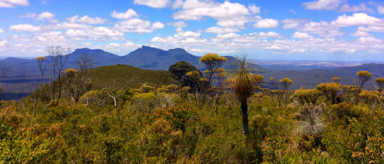 Mount Trio Stirling Range WA